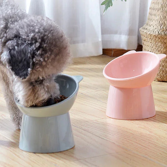 Cat & Dog bowl & pet food bowl pet geeding cat accessories pet candy bowl