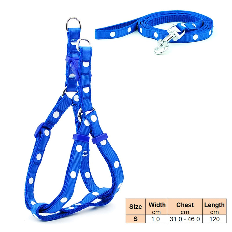 Load image into Gallery viewer, Pet products, adjustable dog collar used for puppy walking
