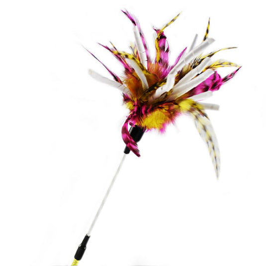 A funny toy that a cat can interact with Many shapes and types Manufacturer: USA_China