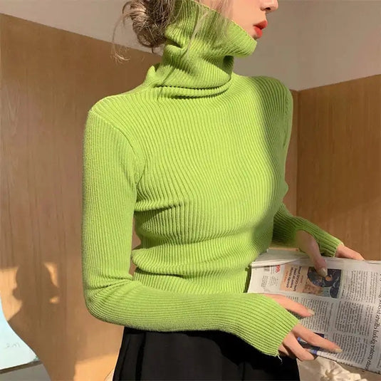 Beautiful and soft women's sweater warm for winter Long and round neck.. neck warmer 9_colors