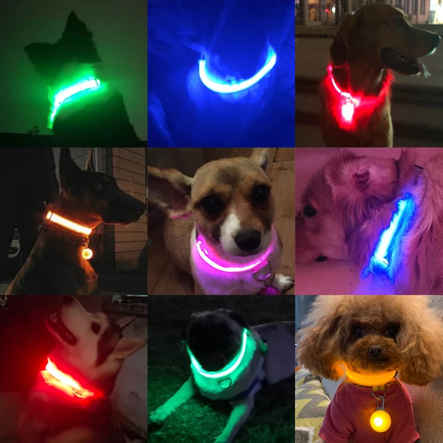 Load image into Gallery viewer, Luminous dog and pet collar, USB charging
