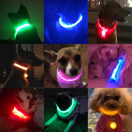 Luminous dog and pet collar, USB charging