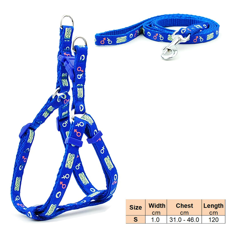 Load image into Gallery viewer, Pet products, adjustable dog collar used for puppy walking
