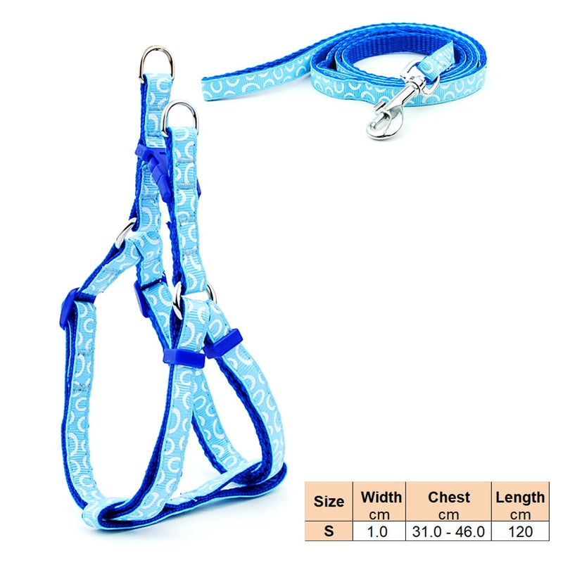 Load image into Gallery viewer, Pet products, adjustable dog collar used for puppy walking
