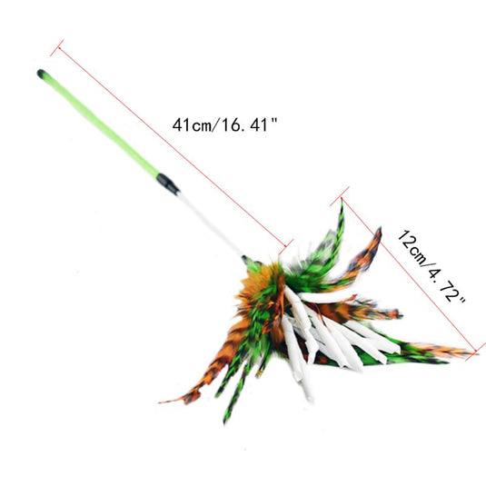 A funny toy that a cat can interact with Many shapes and types Manufacturer: USA_China