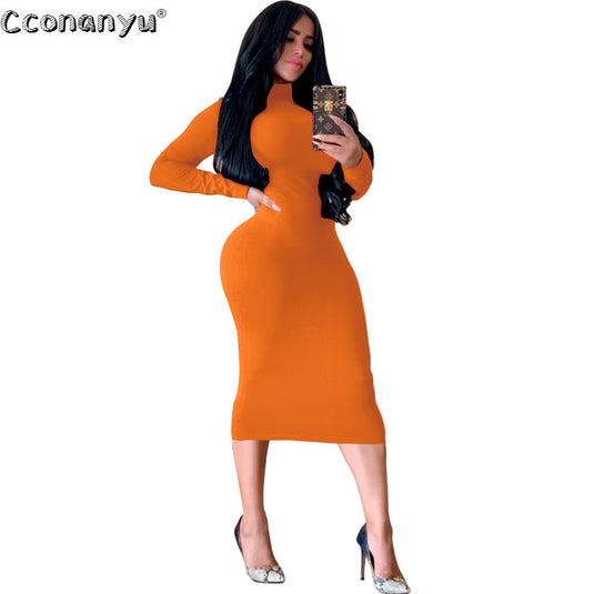 sexy women dress Long dress.. with long sleeves turtleneck suitable for work