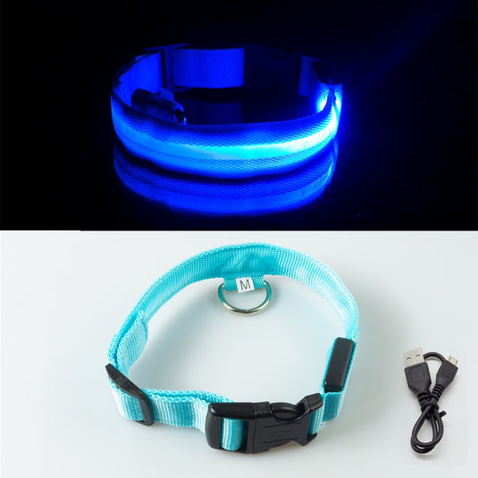 Luminous dog and pet collar, USB charging