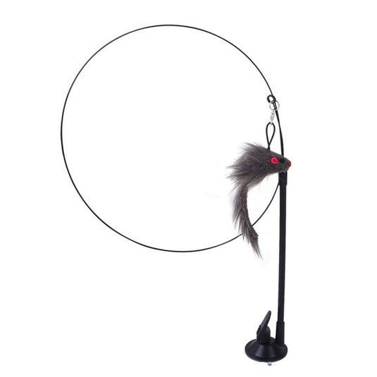 A funny toy that a cat can interact with Many shapes and types Manufacturer: USA_China
