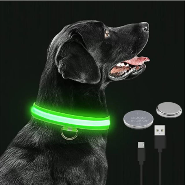 Load image into Gallery viewer, dog collar LED lights in different colors To not lose your dog All colors and sizes
