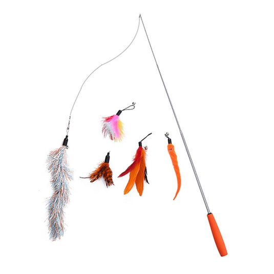 A funny toy that a cat can interact with Many shapes and types Manufacturer: USA_China