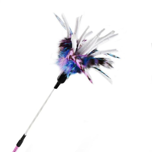 A funny toy that a cat can interact with Many shapes and types Manufacturer: USA_China