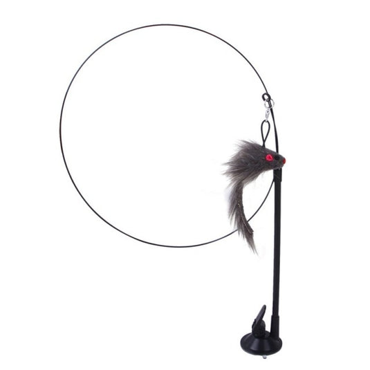 A funny toy that a cat can interact with Many shapes and types Manufacturer: USA_China