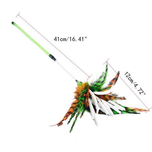 A funny toy that a cat can interact with Many shapes and types Manufacturer: USA_China