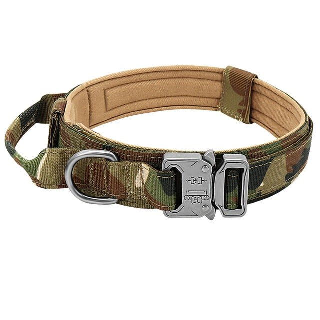 Load image into Gallery viewer, Vest and dog collar suitable for pet dogs and hunting dogs with a suit tied from the waistcoat by means of a rope
