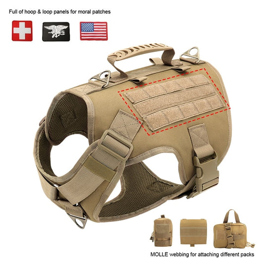 Vest and dog collar suitable for pet dogs and hunting dogs with a suit tied from the waistcoat by means of a rope