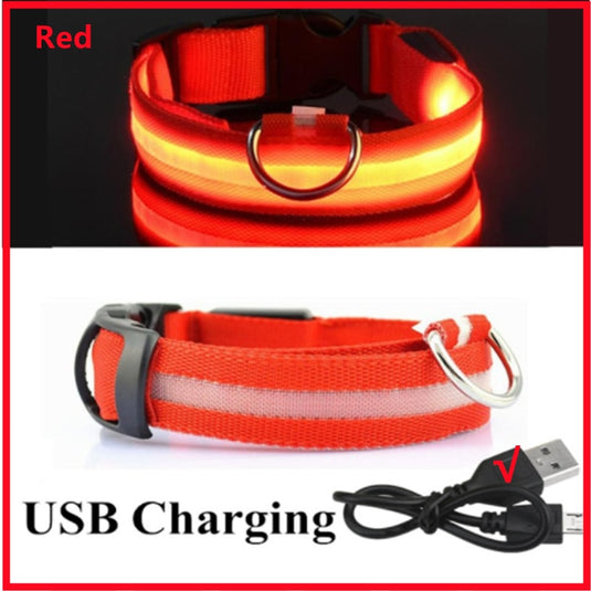 dog collar LED lights in different colors To not lose your dog All colors and sizes