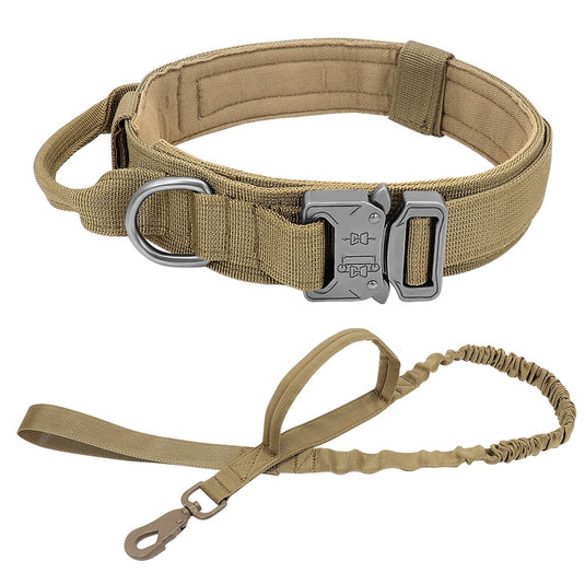 Vest and dog collar suitable for pet dogs and hunting dogs with a suit tied from the waistcoat by means of a rope