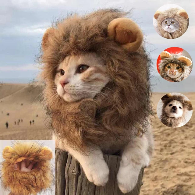 Load image into Gallery viewer, Cute lion winter hat for your pet Cat and small dogs

