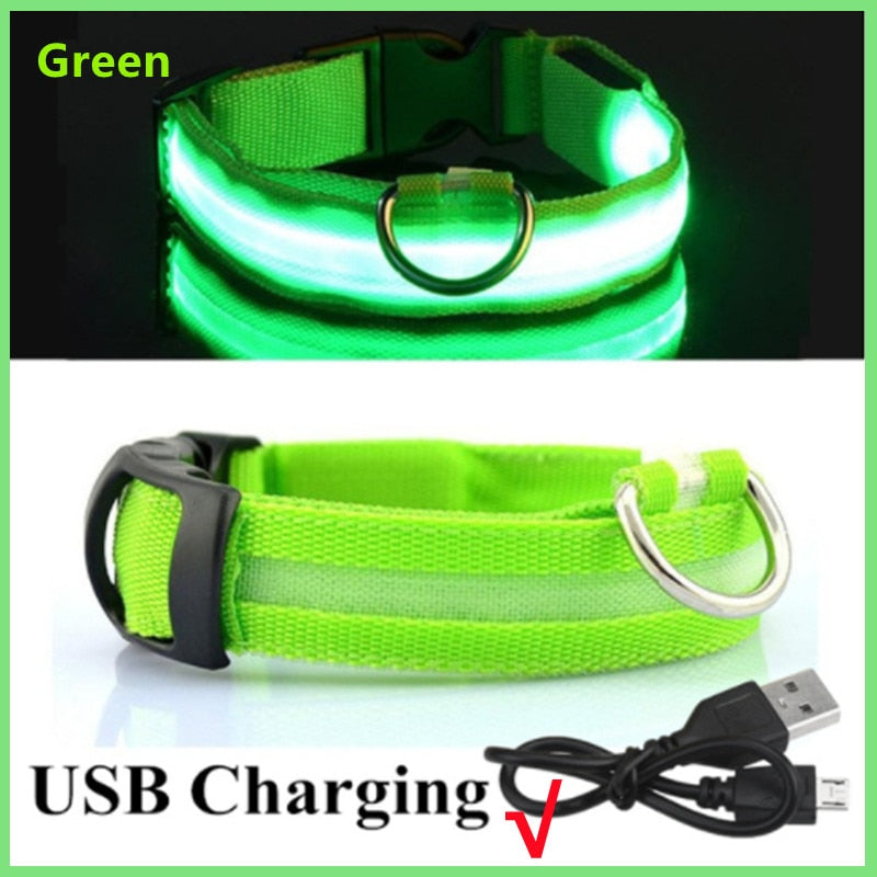 Load image into Gallery viewer, dog collar LED lights in different colors To not lose your dog All colors and sizes
