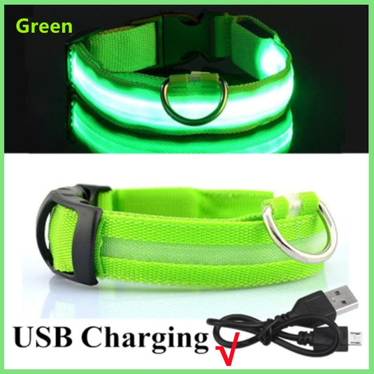 dog collar LED lights in different colors To not lose your dog All colors and sizes