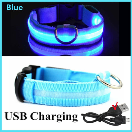 dog collar LED lights in different colors To not lose your dog All colors and sizes