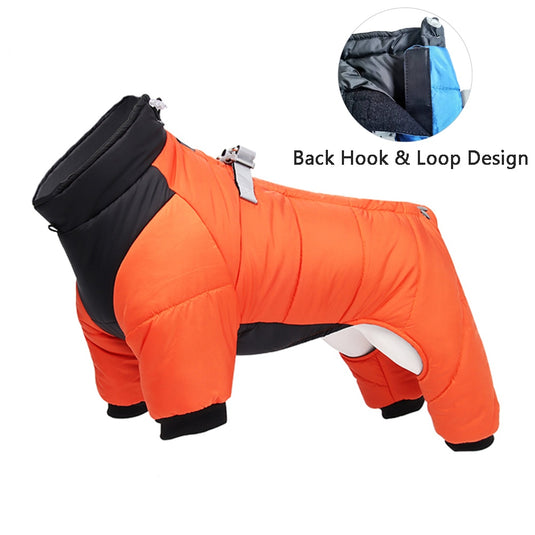 Dog sweater for winter days to keep your little dog warm