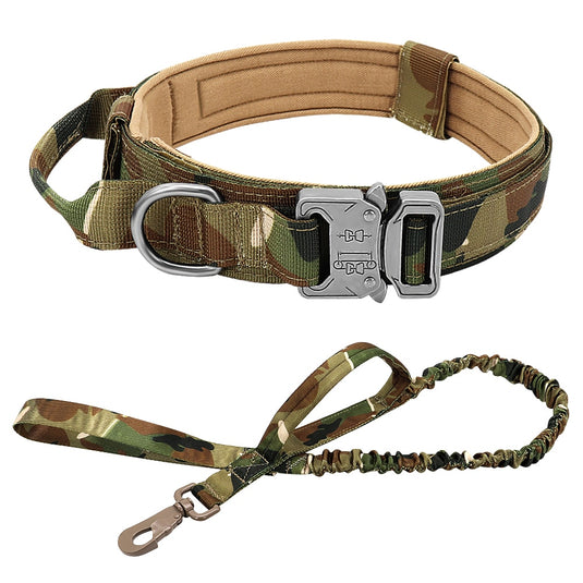 Vest and dog collar suitable for pet dogs and hunting dogs with a suit tied from the waistcoat by means of a rope