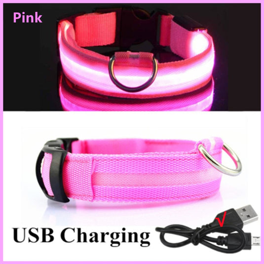 dog collar LED lights in different colors To not lose your dog All colors and sizes