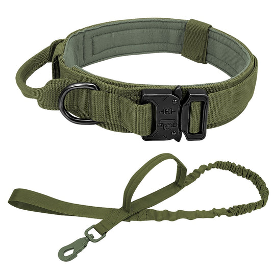 Vest and dog collar suitable for pet dogs and hunting dogs with a suit tied from the waistcoat by means of a rope