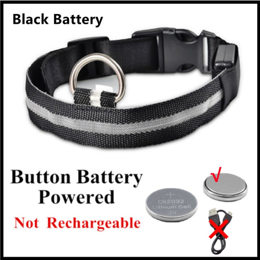 dog collar LED lights in different colors To not lose your dog All colors and sizes