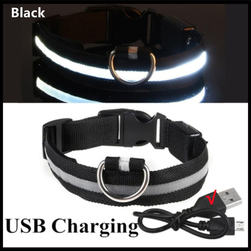 Load image into Gallery viewer, dog collar LED lights in different colors To not lose your dog All colors and sizes
