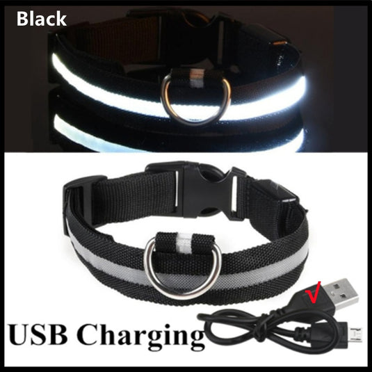 dog collar LED lights in different colors To not lose your dog All colors and sizes