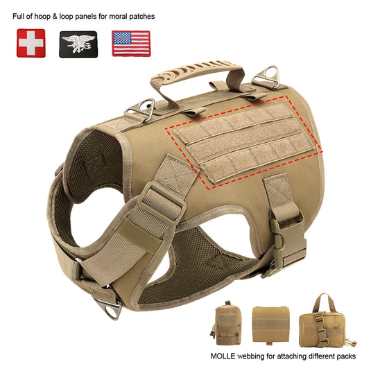 Vest and dog collar suitable for pet dogs and hunting dogs with a suit tied from the waistcoat by means of a rope