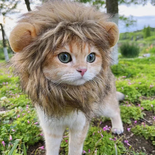 Cute lion winter hat for your pet Cat and small dogs