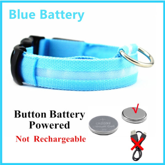 dog collar LED lights in different colors To not lose your dog All colors and sizes