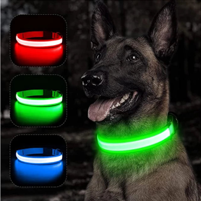 Load image into Gallery viewer, dog collar LED lights in different colors To not lose your dog All colors and sizes
