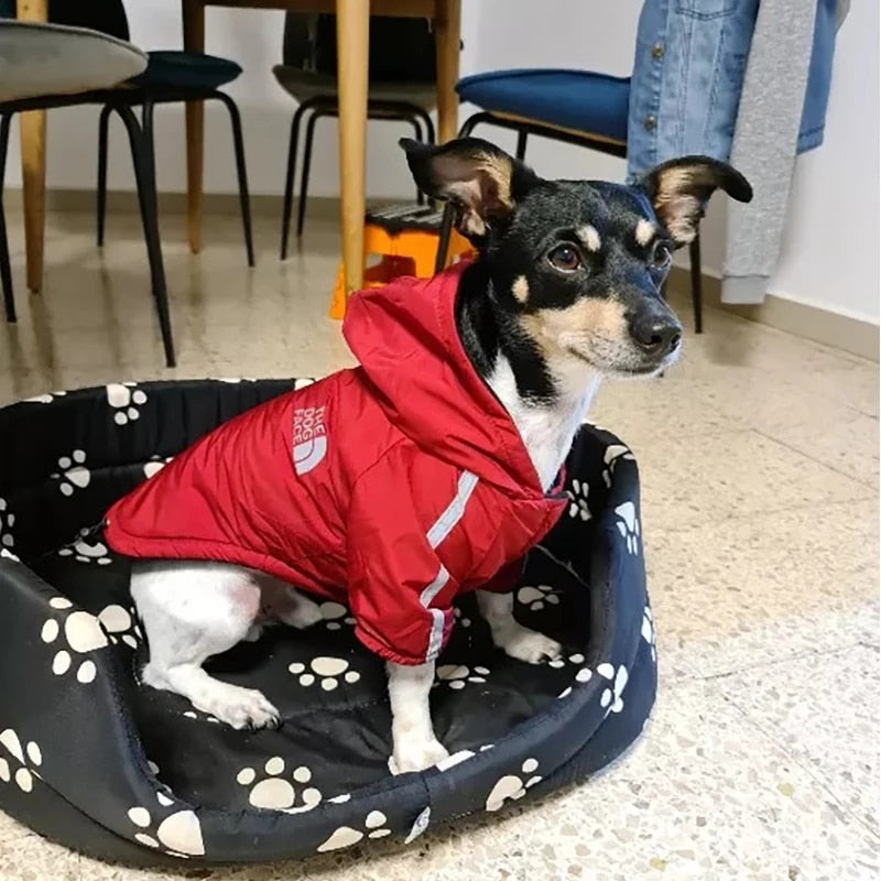 Load image into Gallery viewer, Winter clothes for dogs water resistant  Beautiful and cute shapes that fit your dog. Two colors: white and red
